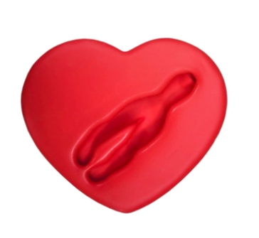 Screenshot - 2026-02-12T194147.590